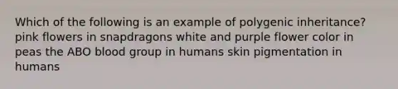 Which of the following is an example of polygenic inheritance? pink flowers in snapdragons white and purple flower color in peas the ABO blood group in humans skin pigmentation in humans