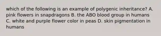 which of the following is an example of polygenic inheritance? A. pink flowers in snapdragons B. the ABO blood group in humans C. white and purple flower color in peas D. skin pigmentation in humans