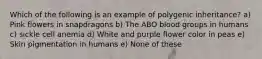 Which of the following is an example of polygenic inheritance? a) Pink flowers in snapdragons b) The ABO blood groups in humans c) sickle cell anemia d) White and purple flower color in peas e) Skin pigmentation in humans e) None of these