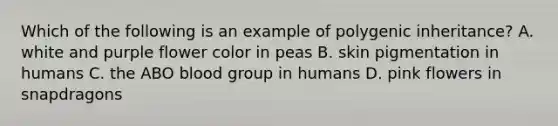 Which of the following is an example of polygenic inheritance? A. white and purple flower color in peas B. skin pigmentation in humans C. the ABO blood group in humans D. pink flowers in snapdragons