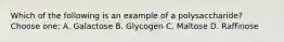 Which of the following is an example of a polysaccharide? Choose one: A. Galactose B. Glycogen C. Maltose D. Raffinose