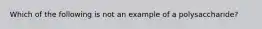 Which of the following is not an example of a polysaccharide?