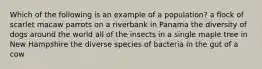 Which of the following is an example of a population? a flock of scarlet macaw parrots on a riverbank in Panama the diversity of dogs around the world all of the insects in a single maple tree in New Hampshire the diverse species of bacteria in the gut of a cow