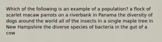 Which of the following is an example of a population? a flock of scarlet macaw parrots on a riverbank in Panama the diversity of dogs around the world all of the insects in a single maple tree in New Hampshire the diverse species of bacteria in the gut of a cow