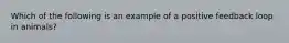 Which of the following is an example of a positive feedback loop in animals?