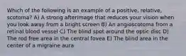 Which of the following is an example of a positive, relative, scotoma? A) A strong afterimage that reduces your vision when you look away from a bright screen B) An angioscotoma from a retinal blood vessel C) The blind spot around the optic disc D) The rod free area in the central fovea E) The blind area in the center of a migraine aura