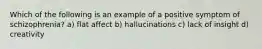 Which of the following is an example of a positive symptom of schizophrenia? a) flat affect b) hallucinations c) lack of insight d) creativity