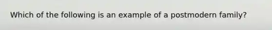 Which of the following is an example of a postmodern family?
