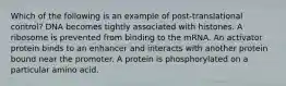 Which of the following is an example of post-translational control? DNA becomes tightly associated with histones. A ribosome is prevented from binding to the mRNA. An activator protein binds to an enhancer and interacts with another protein bound near the promoter. A protein is phosphorylated on a particular amino acid.