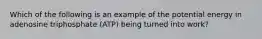 Which of the following is an example of the potential energy in adenosine triphosphate (ATP) being turned into work?