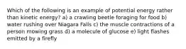 Which of the following is an example of potential energy rather than kinetic energy? a) a crawling beetle foraging for food b) water rushing over Niagara Falls c) the muscle contractions of a person mowing grass d) a molecule of glucose e) light flashes emitted by a firefly