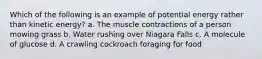 Which of the following is an example of potential energy rather than kinetic energy? a. The muscle contractions of a person mowing grass b. Water rushing over Niagara Falls c. A molecule of glucose d. A crawling cockroach foraging for food