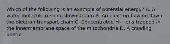 Which of the following is an example of potential energy? A. A water molecule rushing downstream B. An electron flowing down the electron transport chain C. Concentrated H+ ions trapped in the innermembrane space of the mitochondria D. A crawling beetle