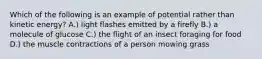 Which of the following is an example of potential rather than kinetic energy? A.) light flashes emitted by a firefly B.) a molecule of glucose C.) the flight of an insect foraging for food D.) the muscle contractions of a person mowing grass