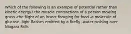 Which of the following is an example of potential rather than kinetic energy? the muscle contractions of a person mowing grass -the flight of an insect foraging for food -a molecule of glucose -light flashes emitted by a firefly -water rushing over Niagara Falls