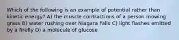 Which of the following is an example of potential rather than kinetic energy? A) the muscle contractions of a person mowing grass B) water rushing over Niagara Falls C) light flashes emitted by a firefly D) a molecule of glucose