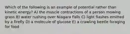 Which of the following is an example of potential rather than kinetic energy? A) the muscle contractions of a person mowing grass B) water rushing over Niagara Falls C) light flashes emitted by a firefly D) a molecule of glucose E) a crawling beetle foraging for food