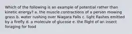 Which of the following is an example of potential rather than kinetic energy? a. the muscle contractions of a person mowing grass b. water rushing over Niagara Falls c. light flashes emitted by a firefly d. a molecule of glucose e. the flight of an insect foraging for food