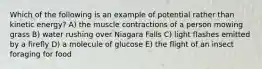 Which of the following is an example of potential rather than kinetic energy? A) the muscle contractions of a person mowing grass B) water rushing over Niagara Falls C) light flashes emitted by a firefly D) a molecule of glucose E) the flight of an insect foraging for food