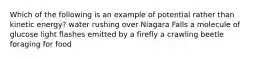 Which of the following is an example of potential rather than kinetic energy? water rushing over Niagara Falls a molecule of glucose light flashes emitted by a firefly a crawling beetle foraging for food