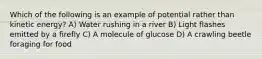 Which of the following is an example of potential rather than kinetic energy? A) Water rushing in a river B) Light flashes emitted by a firefly C) A molecule of glucose D) A crawling beetle foraging for food