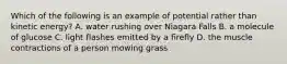 Which of the following is an example of potential rather than kinetic energy? A. water rushing over Niagara Falls B. a molecule of glucose C. light flashes emitted by a firefly D. the muscle contractions of a person mowing grass