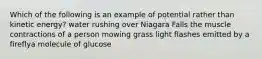 Which of the following is an example of potential rather than kinetic energy? water rushing over Niagara Falls the muscle contractions of a person mowing grass light flashes emitted by a fireflya molecule of glucose