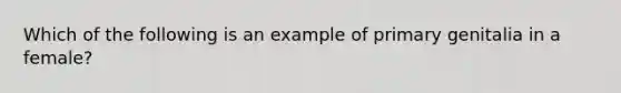 Which of the following is an example of primary genitalia in a female?