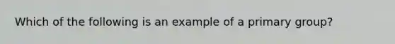 Which of the following is an example of a primary group?