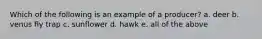 Which of the following is an example of a producer? a. deer b. venus fly trap c. sunflower d. hawk e. all of the above