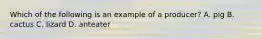 Which of the following is an example of a producer? A. pig B. cactus C. lizard D. anteater