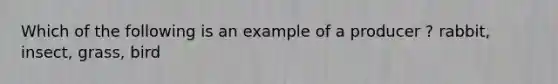 Which of the following is an example of a producer ? rabbit, insect, grass, bird