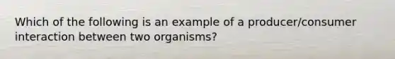 Which of the following is an example of a producer/consumer interaction between two organisms?