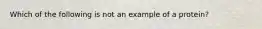 Which of the following is not an example of a protein?