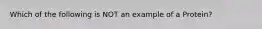 Which of the following is NOT an example of a Protein?