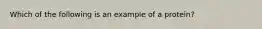 Which of the following is an example of a protein?