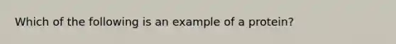 Which of the following is an example of a protein?