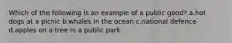 Which of the following is an example of a public good? a.hot dogs at a picnic b.whales in the ocean c.national defence d.apples on a tree in a public park