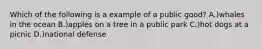 Which of the following is a example of a public good? A.)whales in the ocean B.)apples on a tree in a public park C.)hot dogs at a picnic D.)national defense