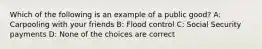 Which of the following is an example of a public good? A: Carpooling with your friends B: Flood control C: Social Security payments D: None of the choices are correct