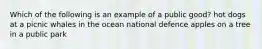 Which of the following is an example of a public good? hot dogs at a picnic whales in the ocean national defence apples on a tree in a public park