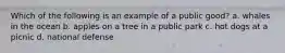 Which of the following is an example of a public good? a. whales in the ocean b. apples on a tree in a public park c. hot dogs at a picnic d. national defense