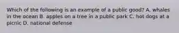 Which of the following is an example of a public good? A. whales in the ocean B. apples on a tree in a public park C. hot dogs at a picnic D. national defense