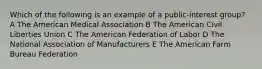 Which of the following is an example of a public-interest group? A The American Medical Association B The American Civil Liberties Union C The American Federation of Labor D The National Association of Manufacturers E The American Farm Bureau Federation