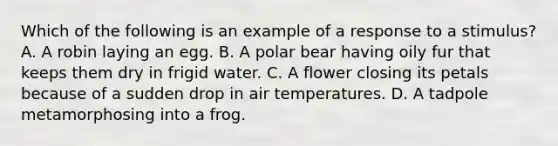 Which of the following is an example of a response to a stimulus? A. A robin laying an egg. B. A polar bear having oily fur that keeps them dry in frigid water. C. A flower closing its petals because of a sudden drop in air temperatures. D. A tadpole metamorphosing into a frog.