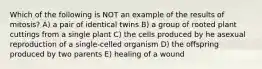 Which of the following is NOT an example of the results of mitosis? A) a pair of identical twins B) a group of rooted plant cuttings from a single plant C) the cells produced by he asexual reproduction of a single-celled organism D) the offspring produced by two parents E) healing of a wound