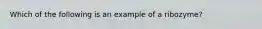 Which of the following is an example of a ribozyme?