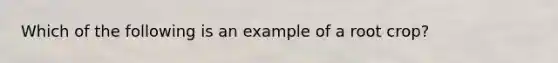 Which of the following is an example of a root crop?