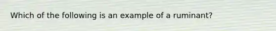 Which of the following is an example of a ruminant?