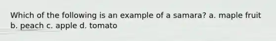 Which of the following is an example of a samara? a. maple fruit b. peach c. apple d. tomato